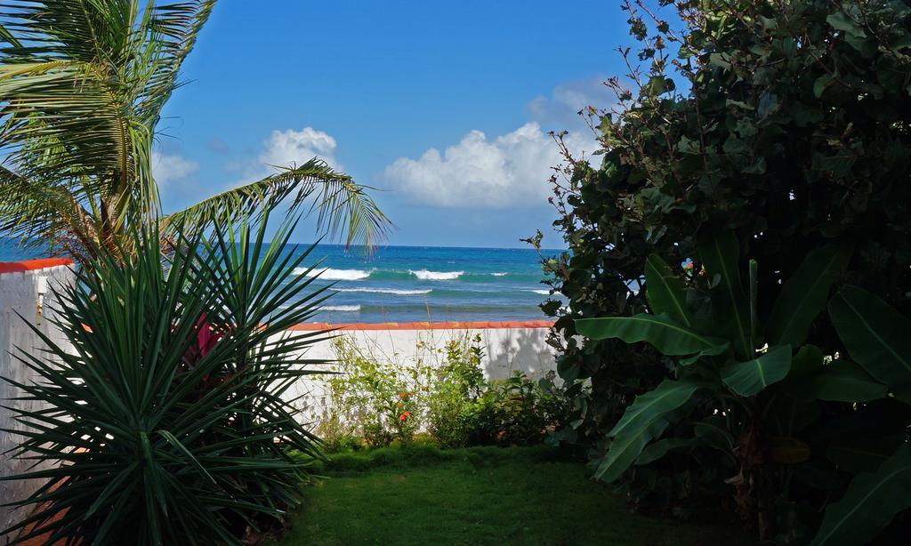 Bravo Beach Hotel Vieques Bagian luar foto